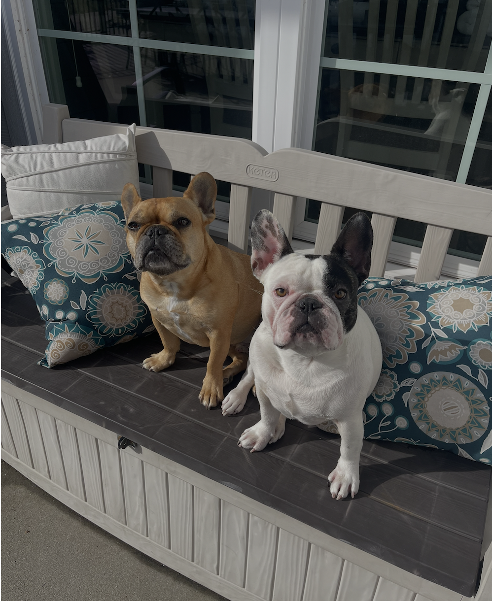 Dogs at Outdoor Resorts Gatlinburg