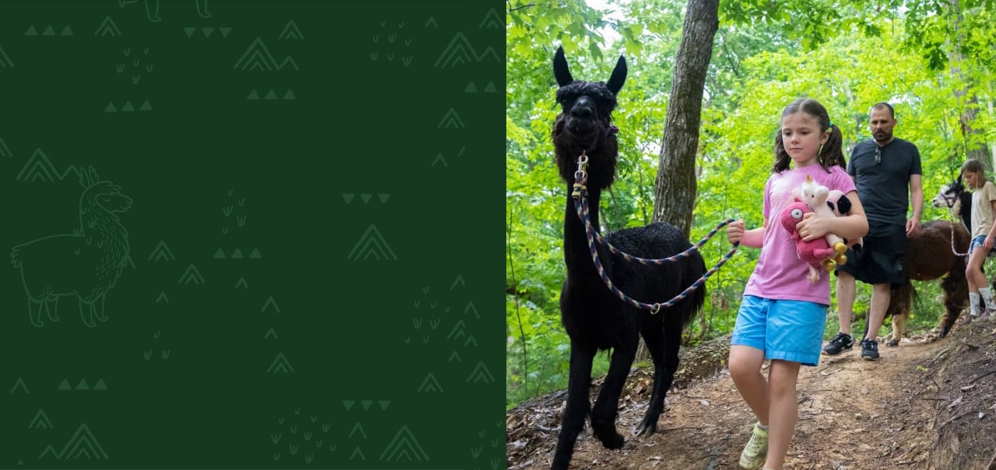 Smoky Mountain Llama Treks family activity near Gatlinburg